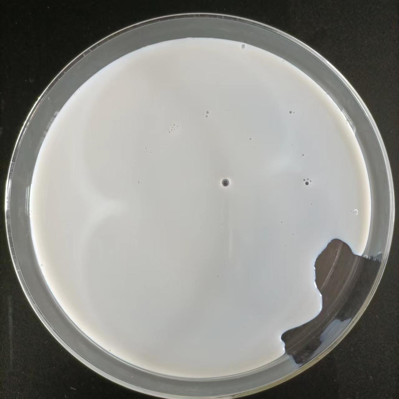 SBR樹(shù)脂（SBR丁苯乳膠樹(shù)脂）